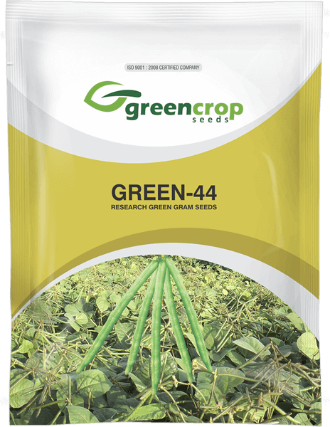 green gram crop